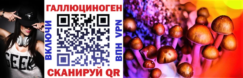 Галлюциногенные грибы Psilocybine cubensis  Алатырь 